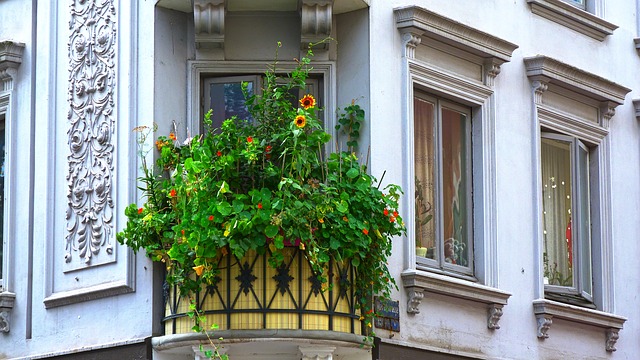 balkón s rastlinami.jpg